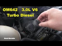 Mercedes Sprinter OM642 Engine Blow-By