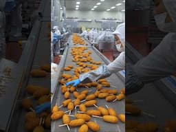 Corn Dog Mass Production Process. Food factory in Korea