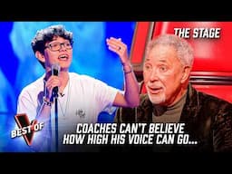 Johannes Pietsch sings 'The Sound Of Music' by Julie Andrews | The Voice Stage #136