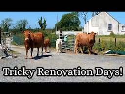 DIY Renovation Frustration!