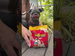 Coco x Top Breed Dog Food, Shampoo, and Vitamins #shihtzu #dogshorts #topbreed