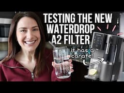 INSTANT Hot & Cold..NO PLUMBING! | Waterdrop A2 Countertop RO Water Filter