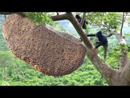 Blink and You’ll Miss It, Unbelievable Animals Moments, Caught On Camera!