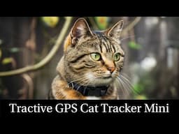 Tractive GPS Cat Tracker Mini