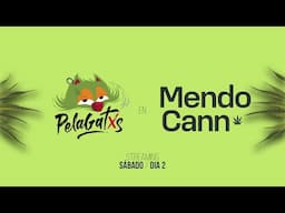 MendoCann - Día 2 - Espacio Arizu - Godoy Cruz - Mendoza