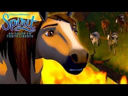 Lucky et Polly | SPIRIT AU GALOP EN TOUTE LIBERTÉ