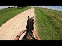 Don't let your horse do a half canter/half gait movement!