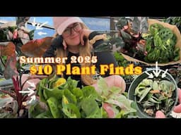 NEW $10 RARE Plant Finds! New Plants for Summer 2025 🌿 I've Never Seen These!! 5 Big Box Stores!