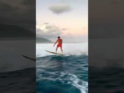 Is this what a surfer paradise looks like?!