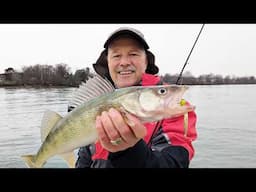 Jigging walleye - Stingnose & Eye-Drop made for a fantastic combo