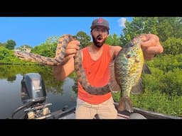 Slaying Bluegill on SECRET JIG, Then This GIANT DIAMONDBACK SNAKE Showed Up.. (BIGGEST of the YEAR!)