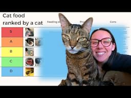 Cat food tier list ranked by a cat