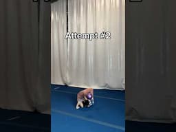 How many times will it take? #rhythmicgymnastics #ball #challenge