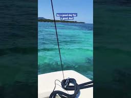 Colors of the Caribbean #asmr #asmrwater #asmrocean #roatan #goodday