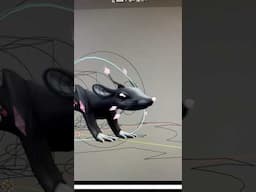 rat dance #animation #blender