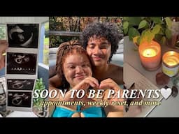 Day in Our Life as Soon to be Parents | appointments, thrifting, deep cleaning, weekly reset