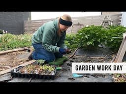 Planting & Working in my Cut Flower Garden - Sunshine and Flora Urban Flower Farm