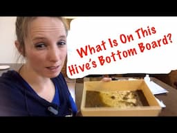 What’s on my Beehive Bottom Board? Wash on bottom board debris, Backyard Bee Builder