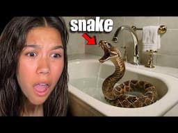 I Found A RATTLE SNAKE in my Bathroom! *SCARY*