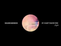 Shawn Mendes - If I Can't Have You (Lyrics Video)