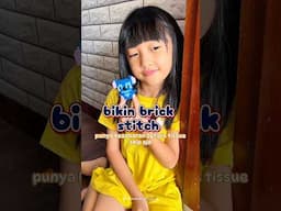 bikin brick lucu stitch