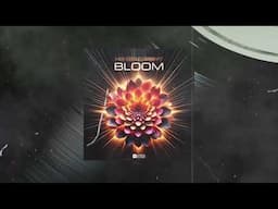 No Comment - Bloom | Alteza Records