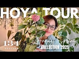 My 2-Hour Hoya Movie | 134 Plant Collection Tour 2025