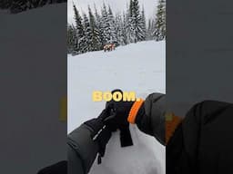 A Simple Photography Idea in the Snow