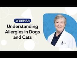 Pet Allergy Basics: Identifying and Managing Allergies in Dogs and Cats