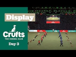 Paw-some Performances 🐾🐕" Citizen Dog Training Scheme Display | Crufts 2025