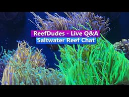 ReefDudes - Saltwater Reef Chat Live Q&A