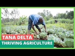 Profitable diverse agricultural ventures in Tana Delta