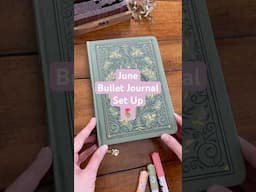 June Bullet Journal Set Up💕 #bujo #planwithme #shorts