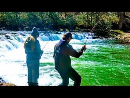 INSANE Waterfall Bobber Downs for RARE Trout in a Secret Creek!
