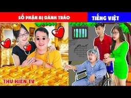Số Phận Bị Đánh Tráo 💕Tổng Hợp Cổ tích Đời thực Hay Nhất #334 💕Thu Hiền TV