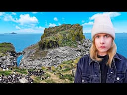 I Went To The Island The Birds Took Over