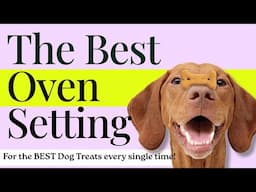 The BEST Oven Setting for your dog treat business! 🐶🐾