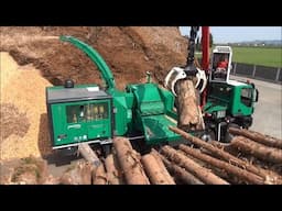 Amazing Dangerous Fastest Wood Chipper Machine in Action, Biggest Crazy Wood Crusher Machine Working