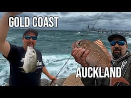 Shore jigging Goldcoast to Softbaits in Auckland NZ #fishing #vlog #fish