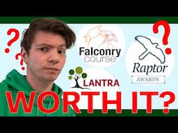 Falconry Courses - Are They Worth It?