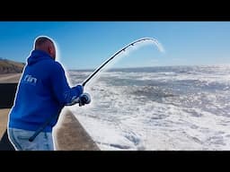Sea Fishing in BLACKPOOL