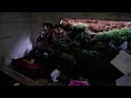 basement wall collapsed, the beginning of the great historical flood! Not a musical related video!
