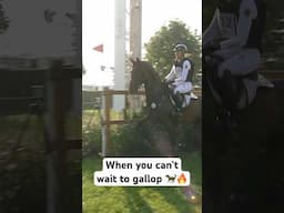 When your horse can’t wait to gallop 🐎🔥 #eventing #chioaachen #eventinghorse