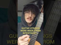 Guitar strings used to be made of guts?… #guitarist #guitar #guitartalk #guitarhistory #musictalk