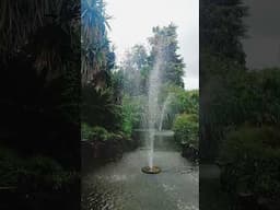 Beautiful Nature | Botanical Gardens | Relaxation