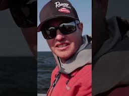 Summer turning to Fall Find Walleyes Migrating to Big Structure #fishing #walleyefishing