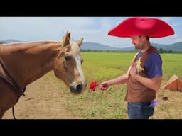 farmers with brain damage get a horse