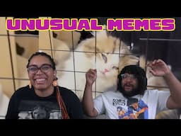 Psycho Kitty | Unusual Memes Reaction