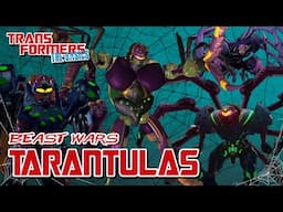 TRANSFORMERS: THE BASICS on TARANTULAS