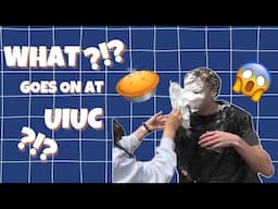Why UIUC? Here’s the tea 🍵
